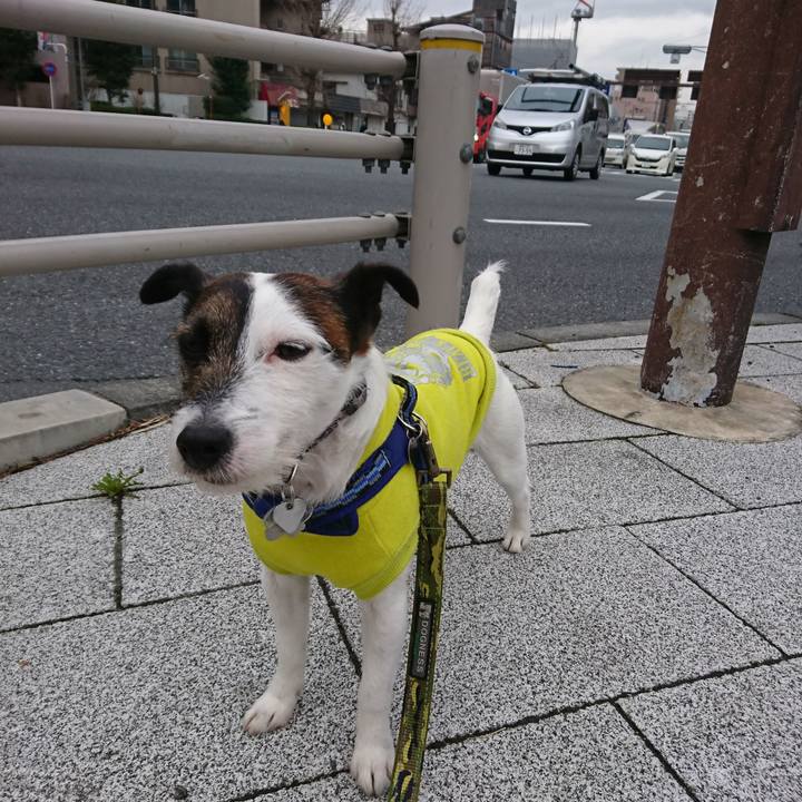 Ea9f692e 6b59 4066 a650 7fe94f053519 1520200655498