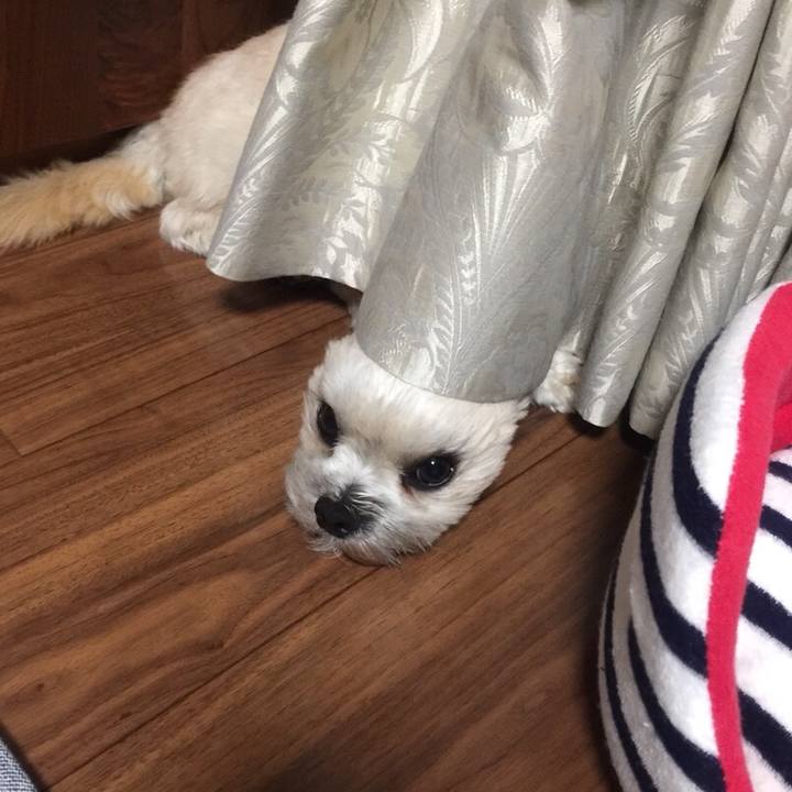 Ea9fe176 4bae 4d64 b78a c600bea7bcf8 1596237218108