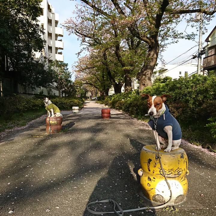 Ea9fe17c 5b94 4dc0 83f0 5f73fc7e1ec6 1586212160088