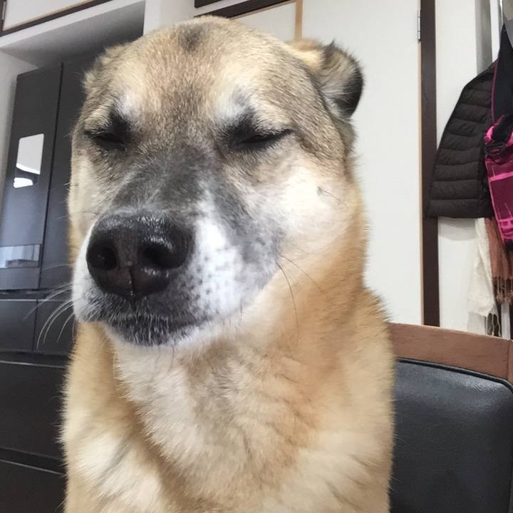 Ea9feb06 43a7 42fc bfe3 76598a3dff41 1516545282768