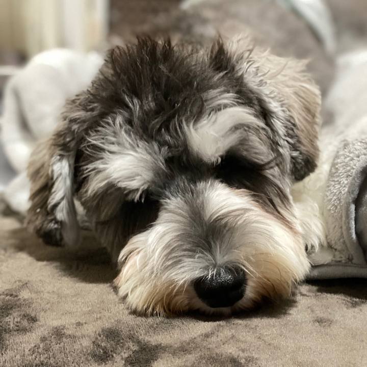 Ea9fee25 d954 43ac b77f 308b8e3ea373 1576421804500