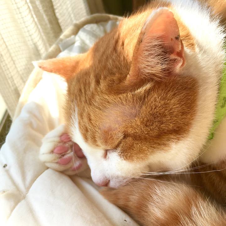 Ea9feecf 6cc8 42ff a61b 741e421ed0a8 1555624122211