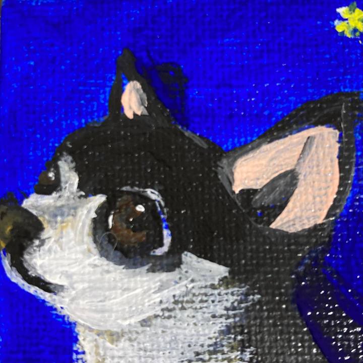 Eaa000d7 63c9 4047 96e8 b472ef7d2bff 1670630260009