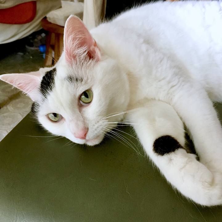 Eaa0929e fe93 443c a5df b7fa3a18acdd 1564902578557