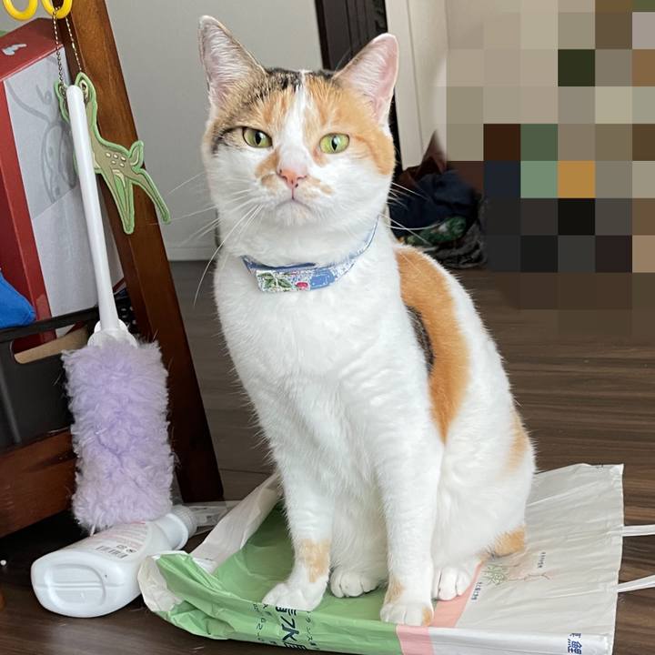 Eaa0b9de 9d9b 42ee 83d0 bd1392f9aafd 1693454127404