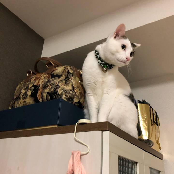 Eaa0f22c bdc8 46fc aee4 2c95ff1fc694 1558996244819