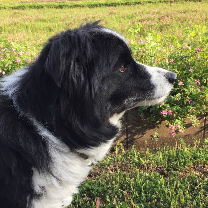 Eaa153c3 5020 493a 9b04 de05bbc4f25c 1554679649563