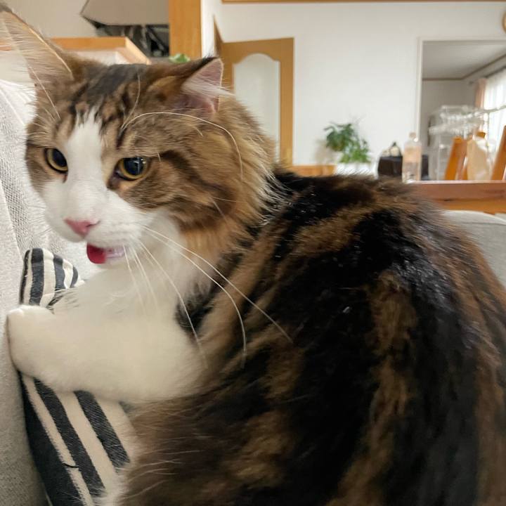 Eaa166b0 a2e0 4a01 bdb1 5477826ae99b 1649799918390