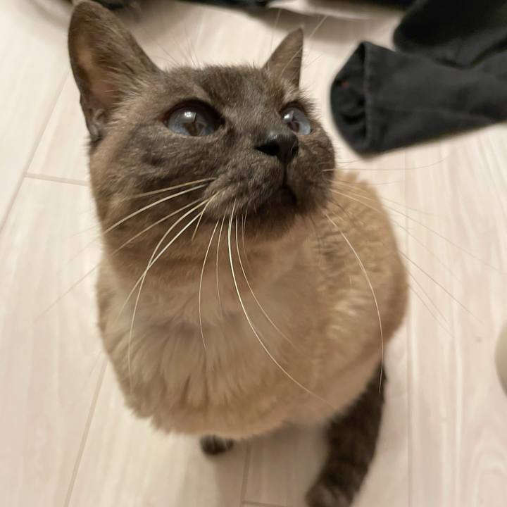 Eaa18c52 7b0d 4ea5 bc17 f3d99fbcce90 1774447461795