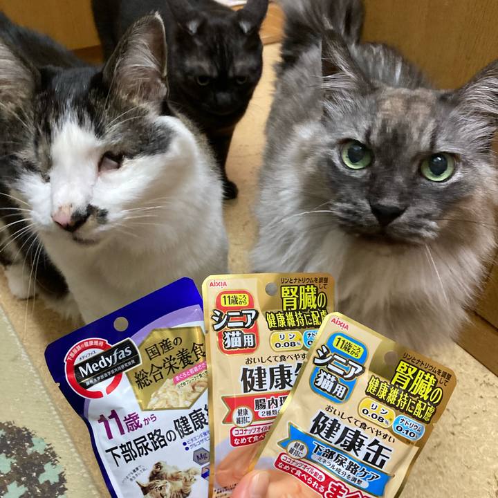 Eaa1b108 1f10 41f8 ad5a d6a6d4841623 1710036105938