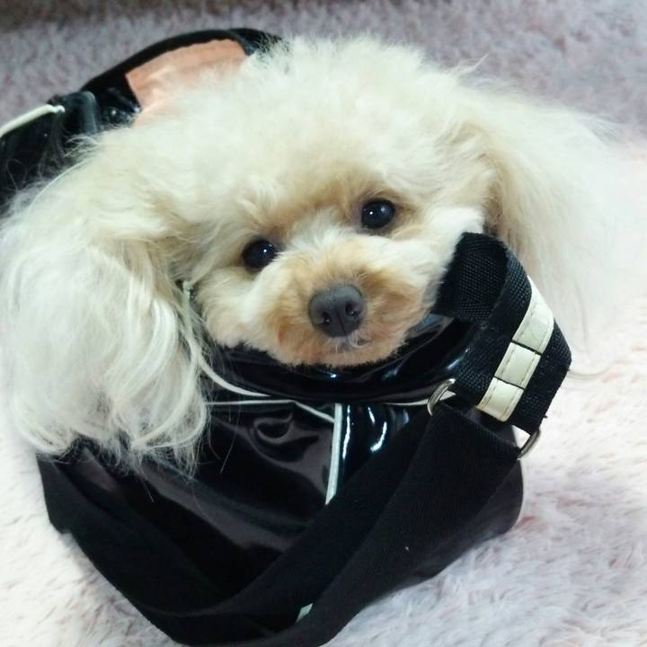 Eaa1eac6 e0a5 4cdb 9242 cfd8d9d29b7b 1539254720652