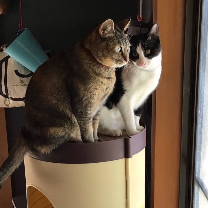 Eaa1f91a bd89 49d5 ac43 ffa81d76df3e 1638417143564