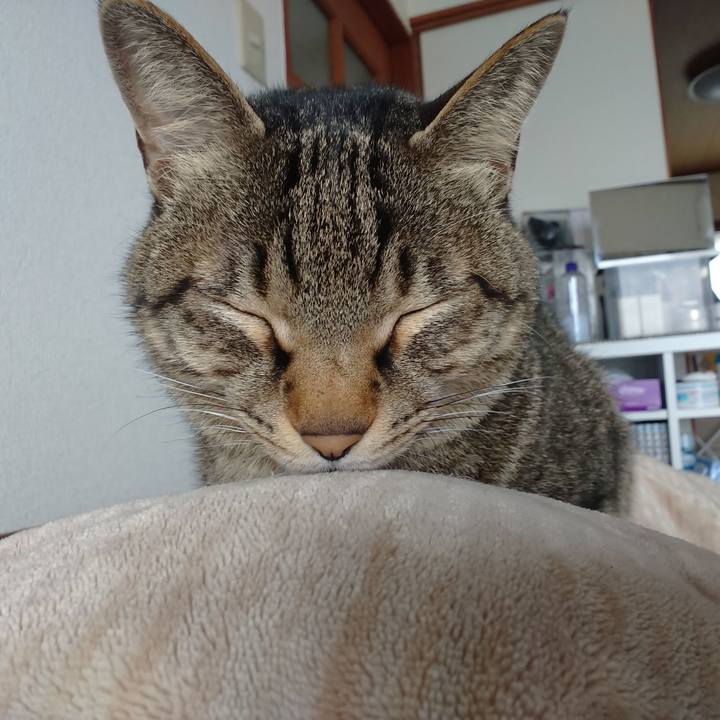 Eaa25751 8db7 4a58 b0f1 57111e58bc38 1616137692125