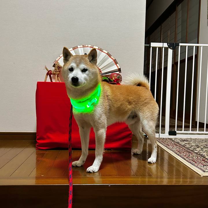 Eaa2696b 81d7 42e9 9e47 d5c1eb19d478 1765971846087