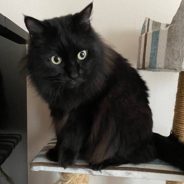 Eaa272f7 859a 451a 945e 6a17c2f5753b 1577680162311