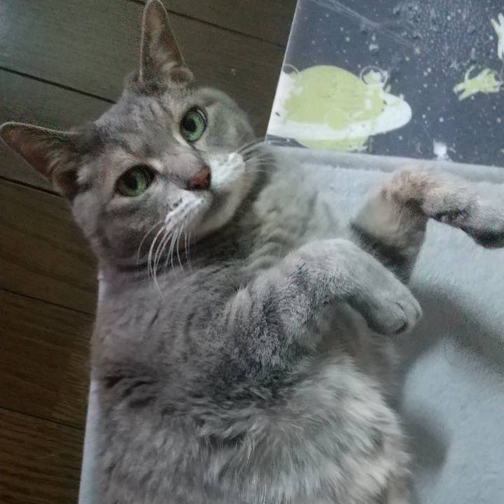 Eaa28c67 8b0b 4b48 b0b3 e263b11bdea2 1655004325857