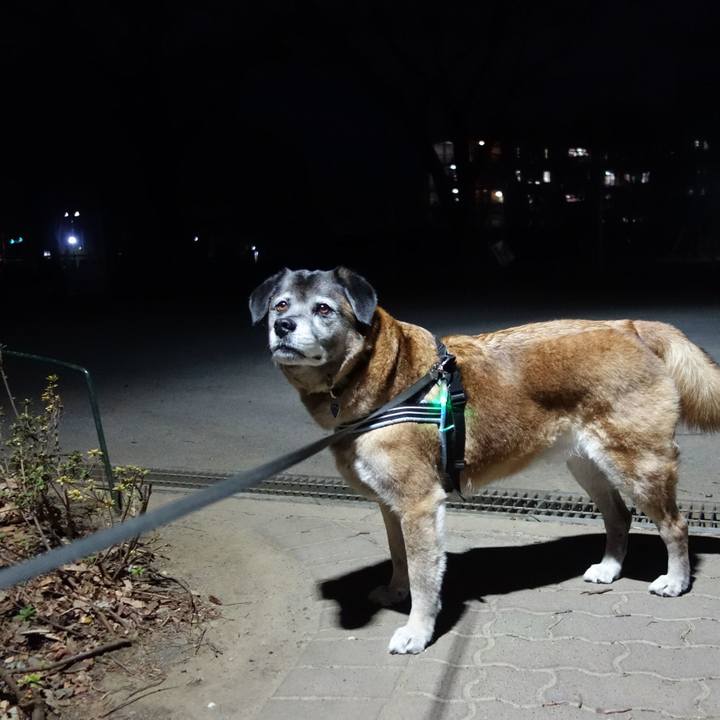 Eaa29eac 72b5 48c5 904b 90b37dab81cb 1553390117530