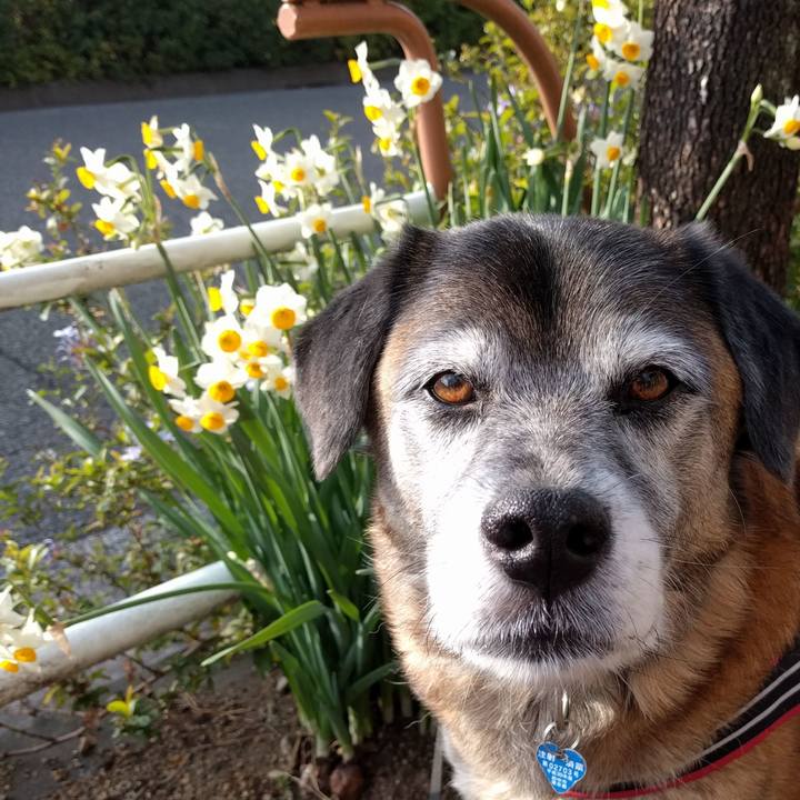 Eaa2a51b 842c 4b56 8b35 1bceb8263df4 1545439231935