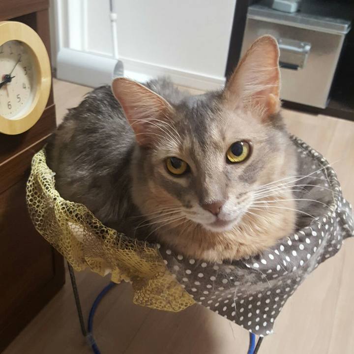 Eaa2de27 8bbd 4bec ad57 79adc962ea26 1570705698427