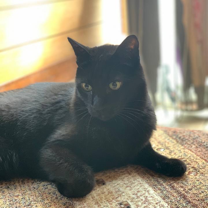 Eaa2f1b8 b89e 49eb b8fa b83cf51e7471 1585876969578