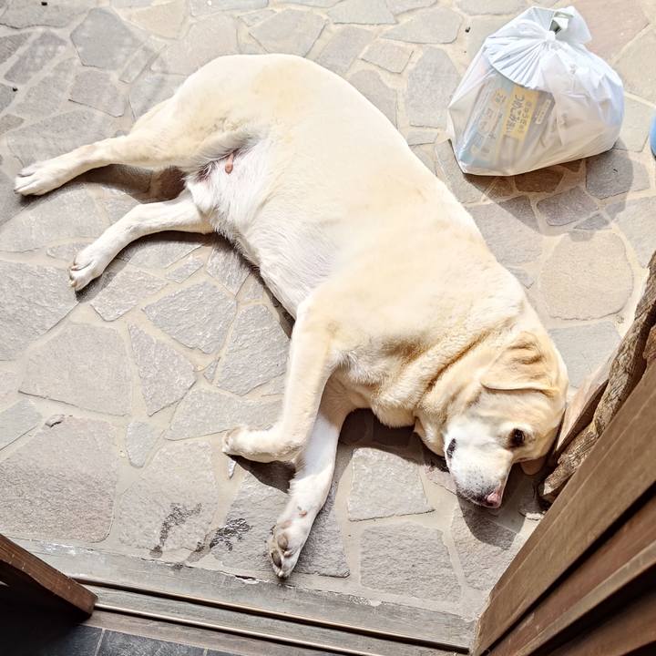 Eaa303d0 f929 46f1 95b8 be1b18e47630 1744936245186