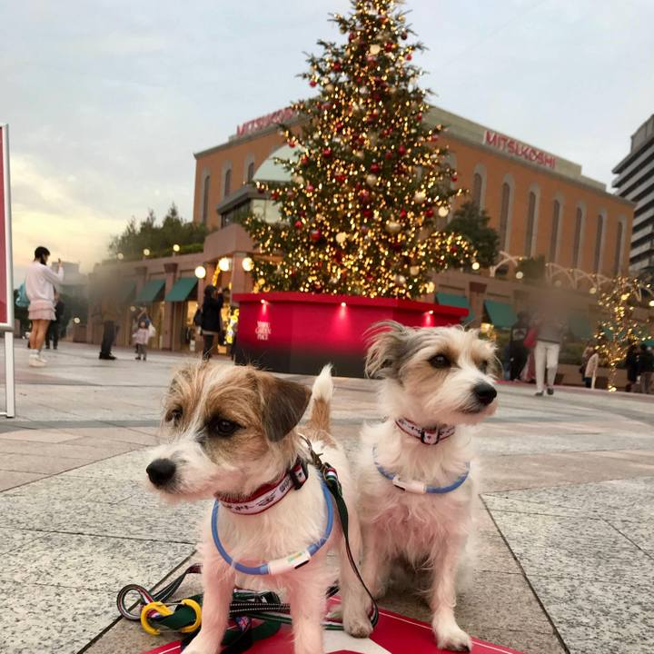 Eaa350c8 a893 4234 a3ac b7809c5dff64 1764337579869