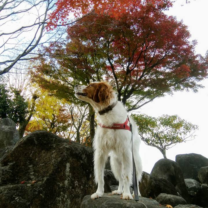 Eaa36abb 5b6e 4d5c 98c5 0d8d142d5fa7 1543839091475