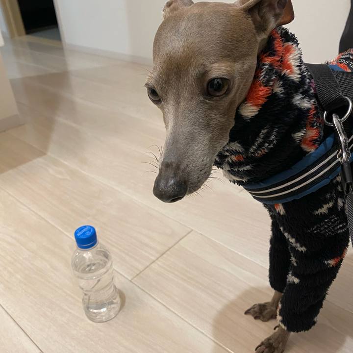 Eaa36bfa e873 42ca aba9 fc8082d90346 1768378338004