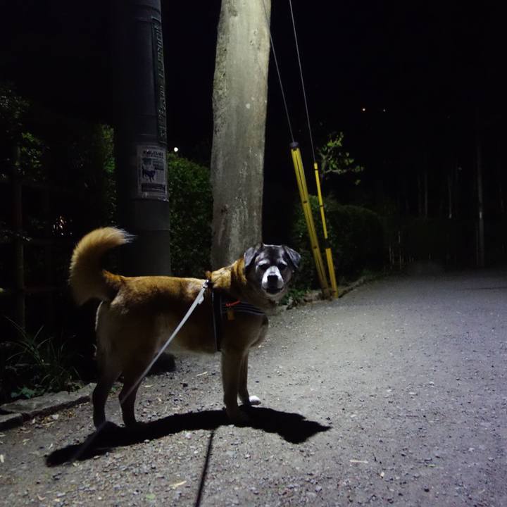 Eaa384c9 09b6 4b6a b3c0 e9fb28f2fc01 1665534709822