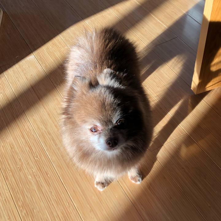 Eaa39585 5106 441c 89b9 6aac47602b4d 1543705811575