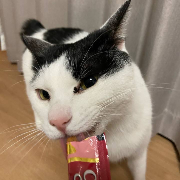 Eaa3ad67 259d 4fd1 89b5 053c617f539a 1586264728886