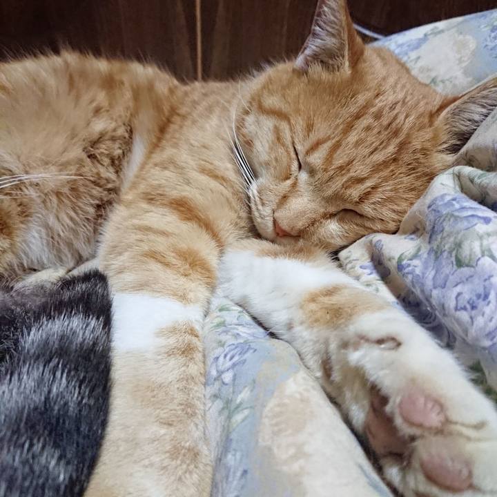 Eaa3f4bf e75f 41a6 b08c f25f36b30ff8 1575986195441