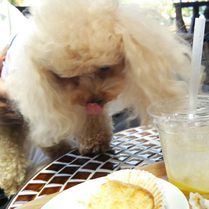 Eaa412f6 301c 4e9e a631 0484e8e84728 1524906839433