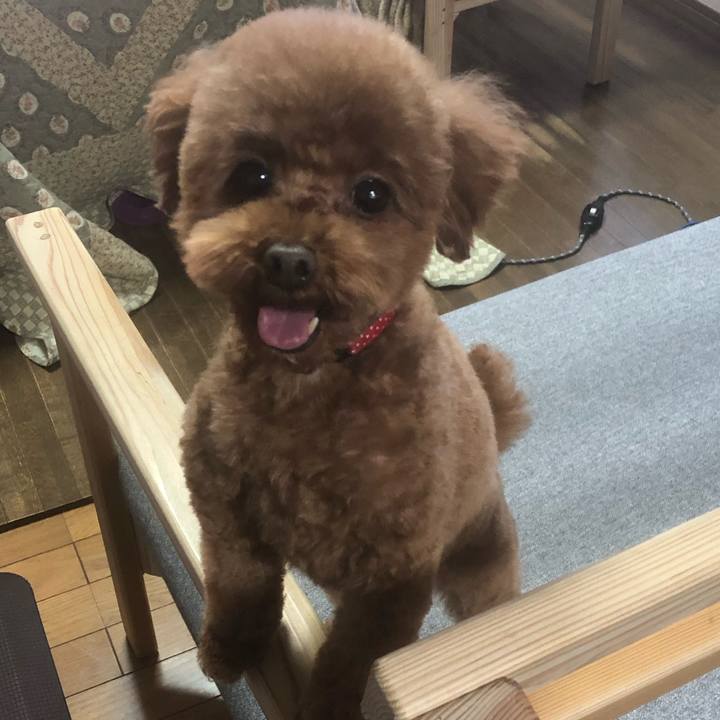 Eaa41539 cc05 4353 9033 2a1cd510efc1 1583044028908