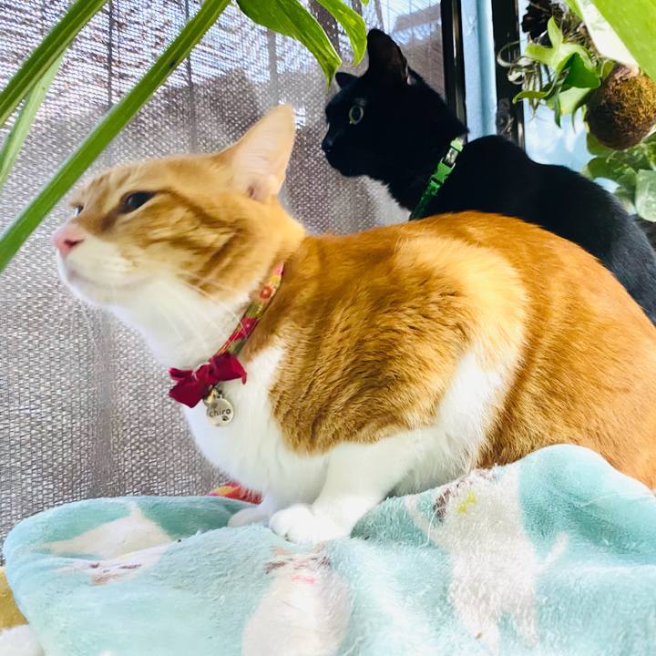 Eaa41a02 7cf9 4905 b182 5fea752c268a 1708946413106