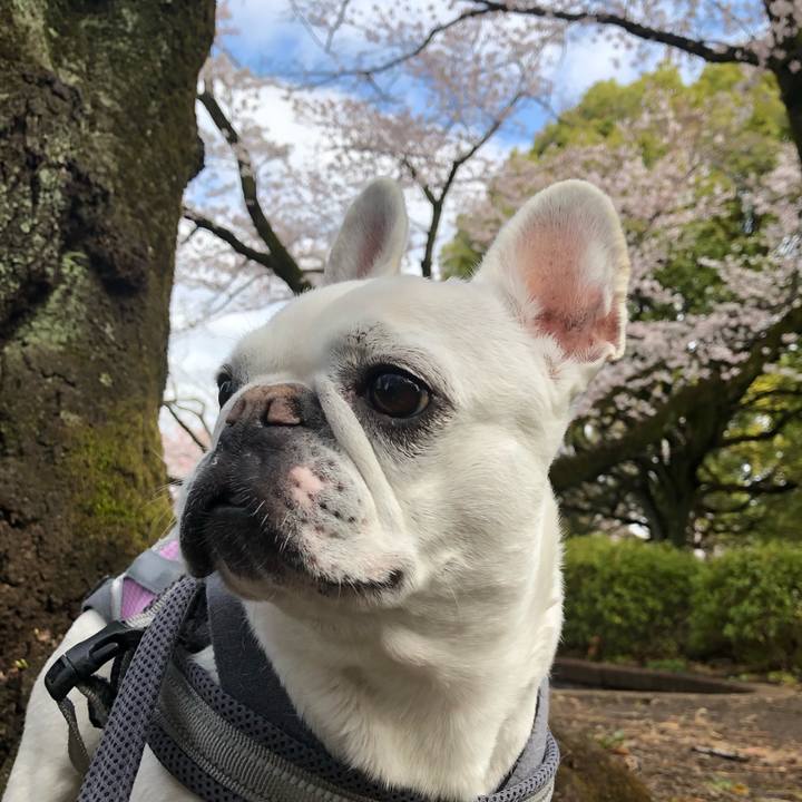 Eaa41e54 0bdd 439b a0fb d64a8fbc389b 1648353442778