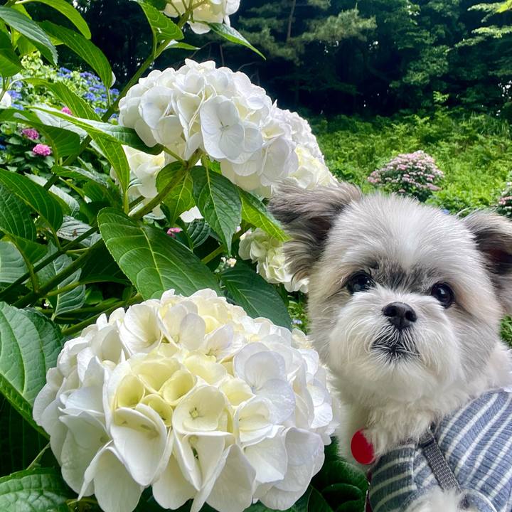 Eaa4670a ea74 4666 b5dc 82930dd54c63 1718160583485