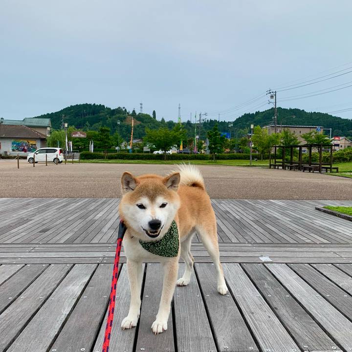 Eaa47667 553d 4d50 baa6 c4b4169d8d7e 1688374962369