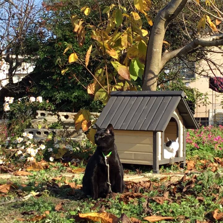 Eaa478e6 5653 4f32 a7f6 7eb4aa5d3979 1511792058904