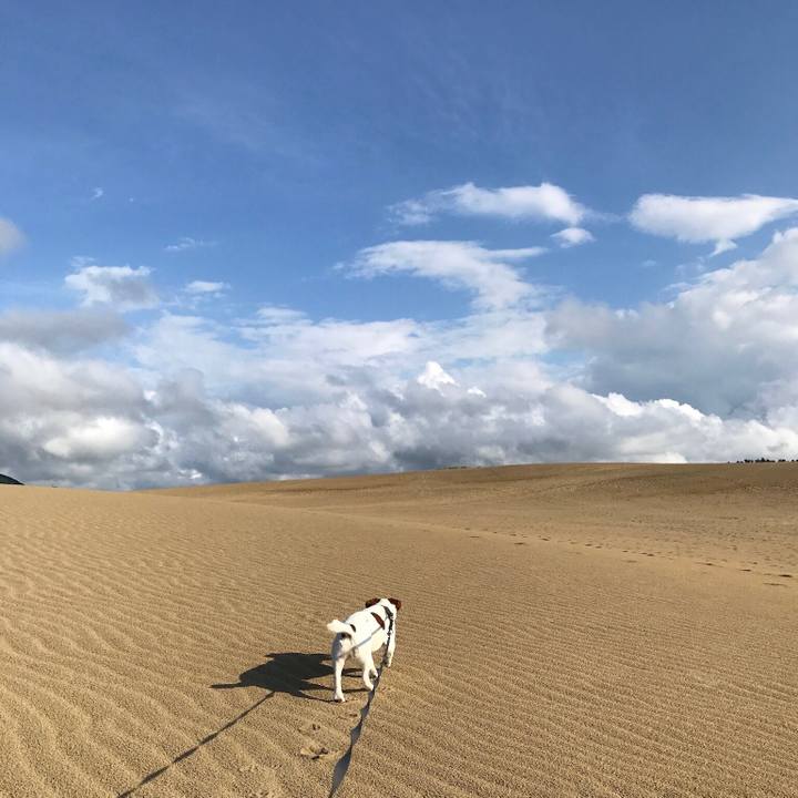 Eaa47bcf bc5c 422d ac4d f877fce9eee1 1536537171827