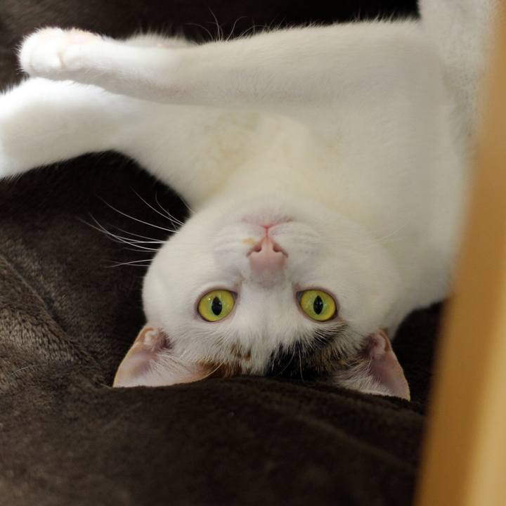 Eaa482d8 93fe 4399 a406 a21c37640d12 1601468315974