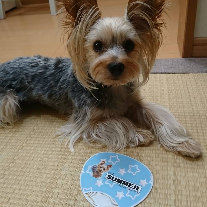 Eaa51d1e 53e3 43f2 a364 8ebe9e1f6872 1533707417400