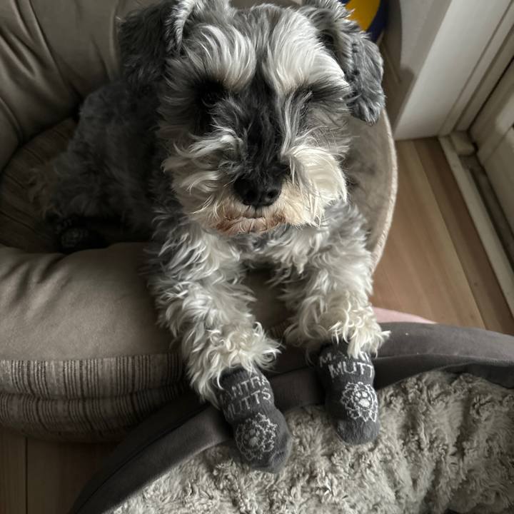 Eaa579df bc53 4cf8 ad84 41630a31d83f 1707196905692