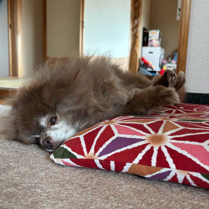 Eaa57d7f 3703 4b46 ab87 92159f5ccf54 1742521840893