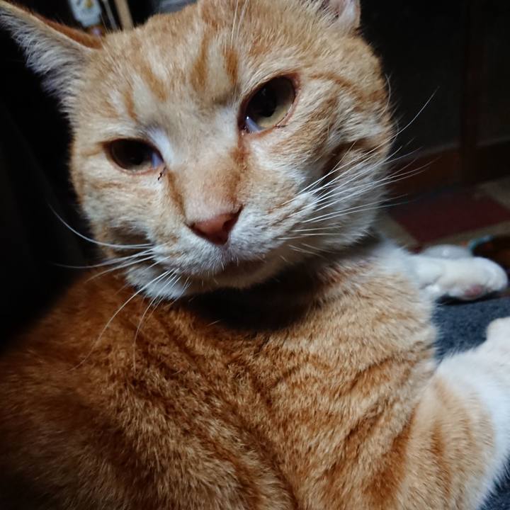 Eaa57dc4 43f3 45db b71f d3c6c52a81c4 1586202321576