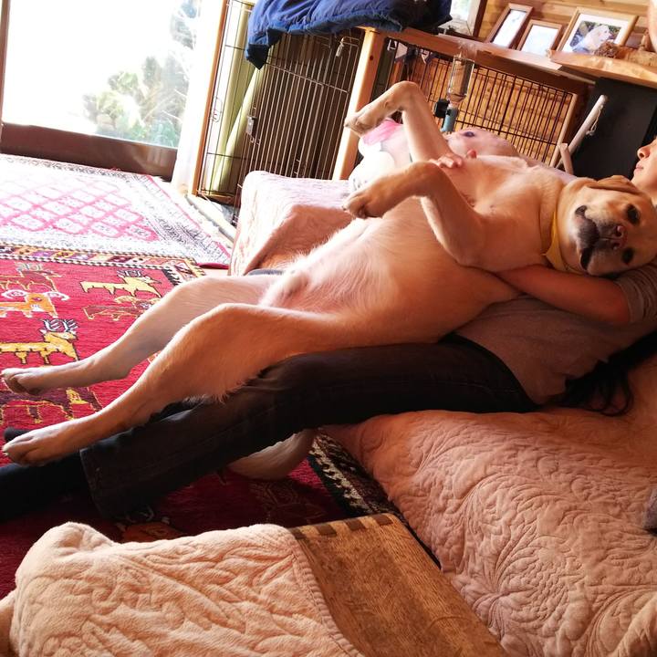 Eaa58001 5f40 4b58 a721 4782b4f16abd 1581223209464