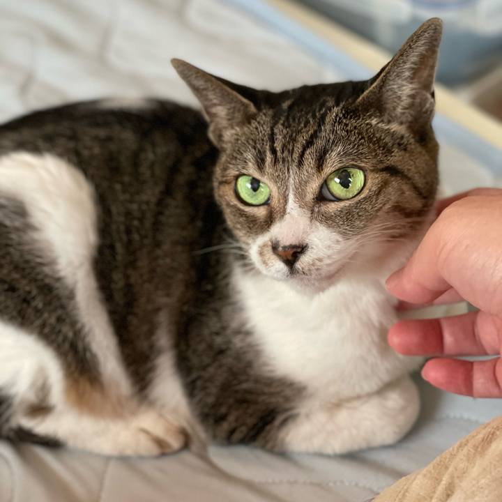 Eaa58900 530a 4acc 9213 3c8dd5904624 1660269782446