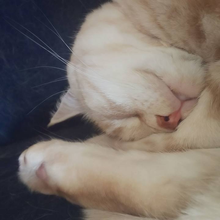 Eaa59346 514a 4e01 9d4f 1b64b837c3cf 1545107828916