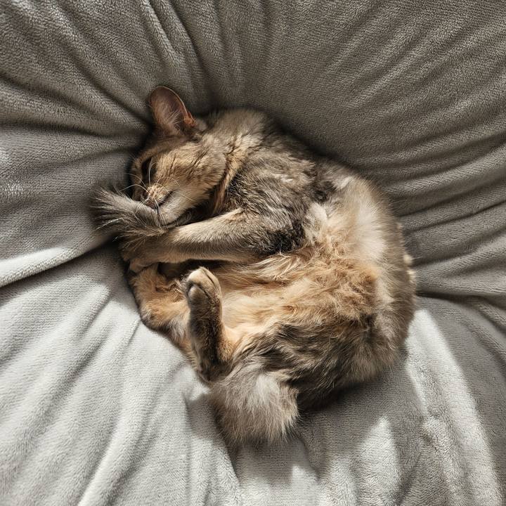 Eaa5a7aa d1ce 46b8 b1c2 b9ce6dd05159 1738300665632