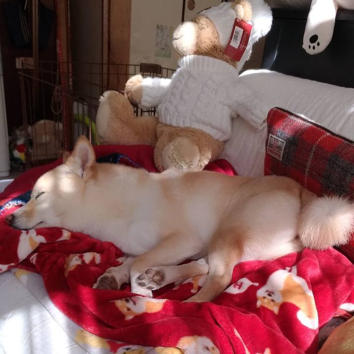 Eaa5cc69 a5d4 4697 b344 d37a6487c154 1612663811673